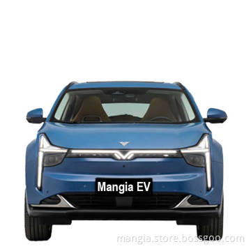 New electric car NETA U adult driving 4-wheel electric car high quality for sale new car manufacturers sell at a low price